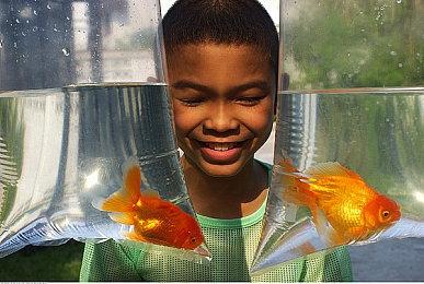 《幻兽帕鲁》提醒玩家没有手游版应用：小心被骗